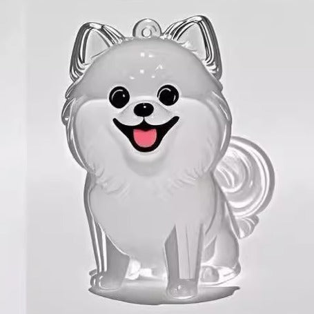 Transparent Case Fuzzy Ball Pendant Pet Hair Storage Keychain