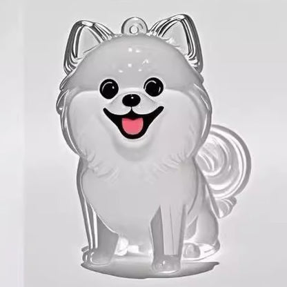 Transparent Case Fuzzy Ball Pendant Pet Hair Storage Keychain